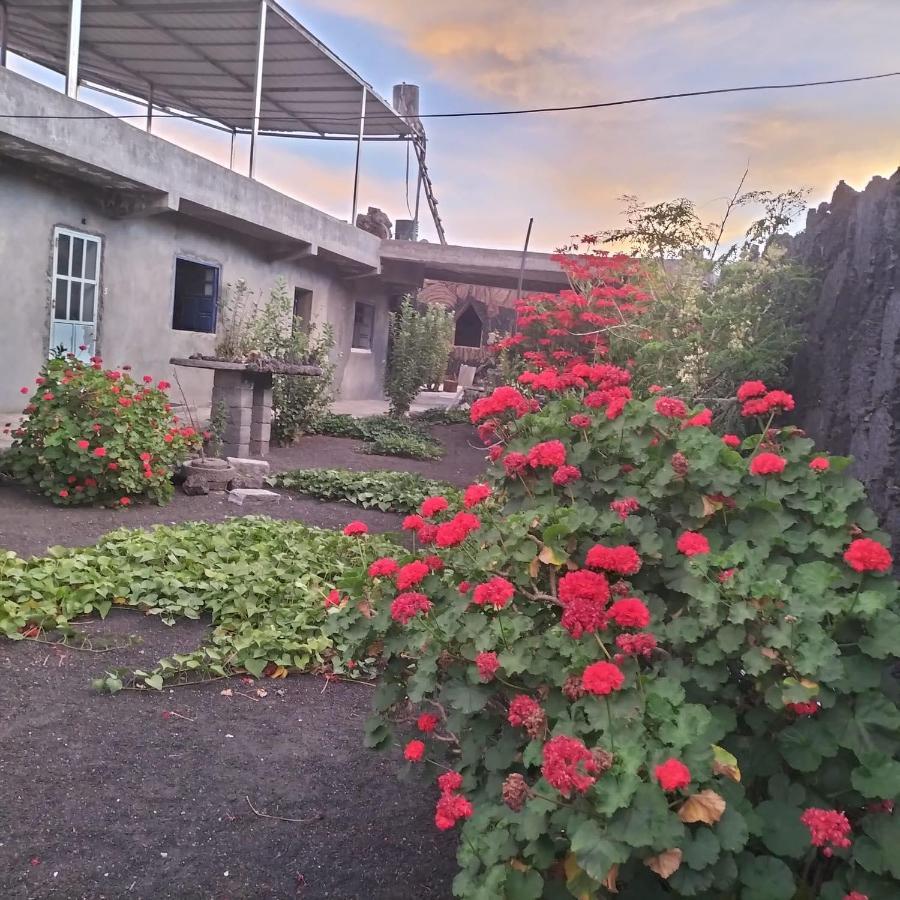 Pensao Repouso Alegre Turismo E Aventura Bed and Breakfast Portela Buitenkant foto